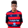 Player cutout