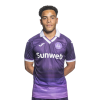 Player cutout
