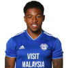 Player cutout