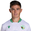 Player cutout
