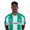 Player cutout