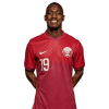 Player cutout