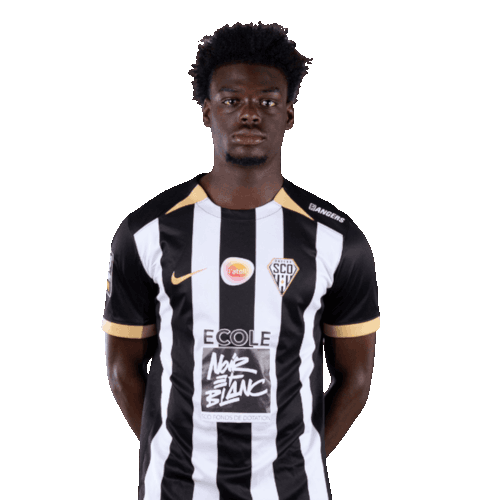 لانروي ماتشيني