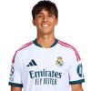 Player cutout