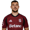 Player cutout