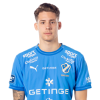 Player cutout