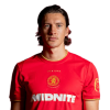 Player cutout