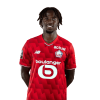 Player cutout