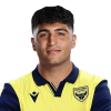 Player cutout