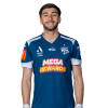 Player cutout