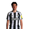 Player cutout