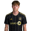 Player cutout