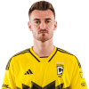 Player cutout