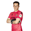 Player cutout