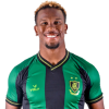 Player cutout