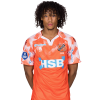 Player cutout