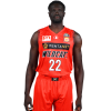 Player cutout