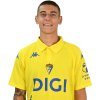 Player cutout