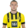 Player cutout