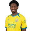 Player cutout