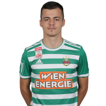 Dragoljub Savić profile image