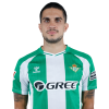 Player cutout
