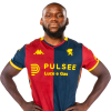Player cutout
