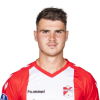 Player cutout