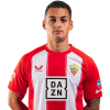 Player cutout