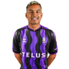 Player cutout