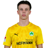 Player cutout