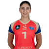 Player cutout