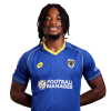 Player cutout