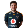 Player cutout