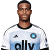 Player cutout