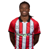 Player cutout