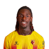 Player cutout