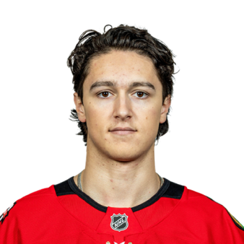 Nick Lardis