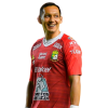 Player cutout