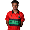 Player cutout