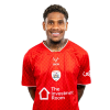 Player cutout