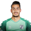 Player cutout