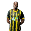 Player cutout
