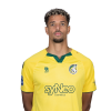 Player cutout