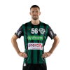 Player cutout