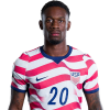 Player cutout