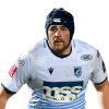 Player cutout