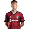 Player cutout