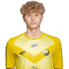 Player cutout
