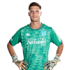 Player cutout
